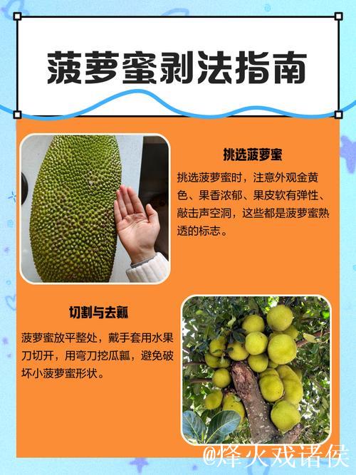 教你最简单剥菠萝蜜的方法，还附视频教程！