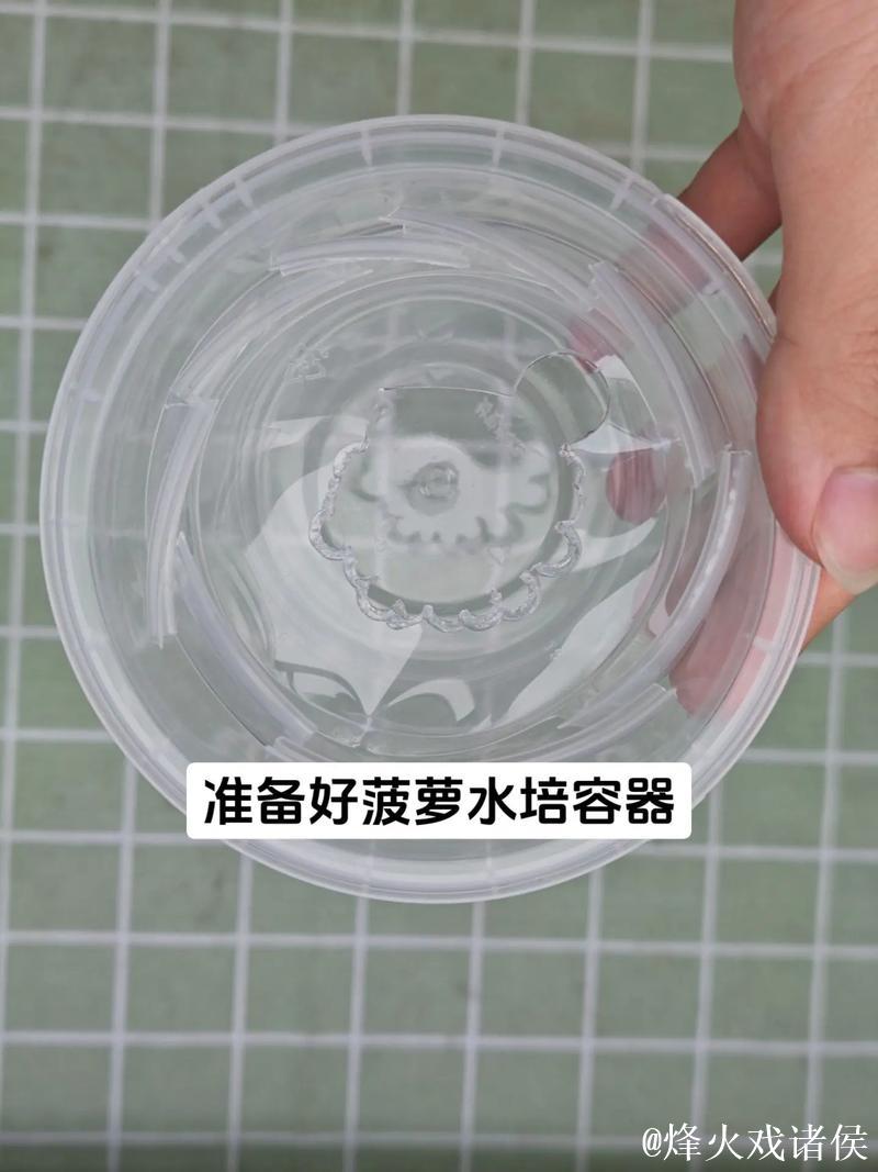 如何科学种植菠萝：详细视频教学